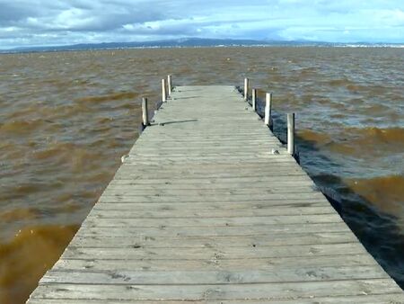 El Agua Del Lago Del Parque Natural De La Albufera En Valencia Se